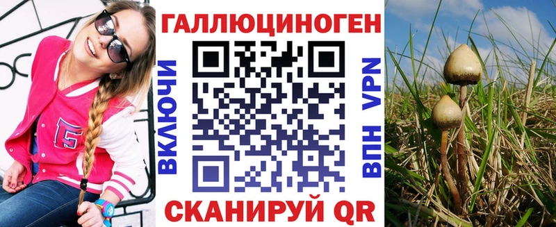 где купить наркоту  гидра маркетплейс  Псилоцибиновые грибы мицелий  Сясьстрой 